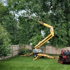 Best Organic Lawn Care Solutions  in Lake View, AL