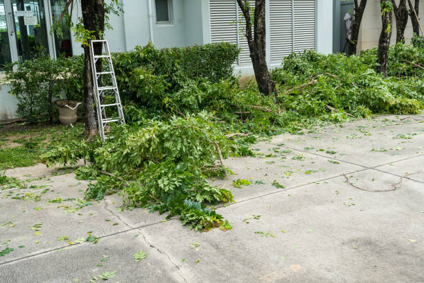 How Our Tree Care Process Works  in  Lake View, AL